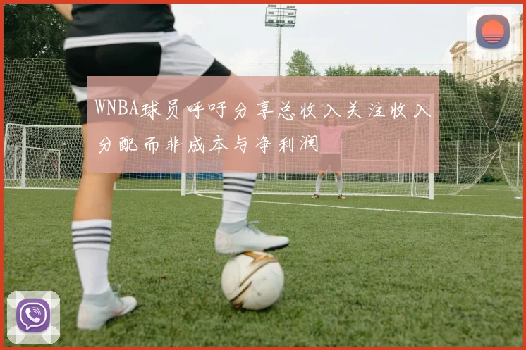 WNBA球员呼吁分享总收入关注收入分配而非成本与净利润