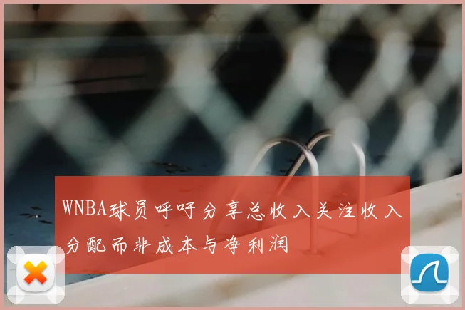 WNBA球员呼吁分享总收入关注收入分配而非成本与净利润