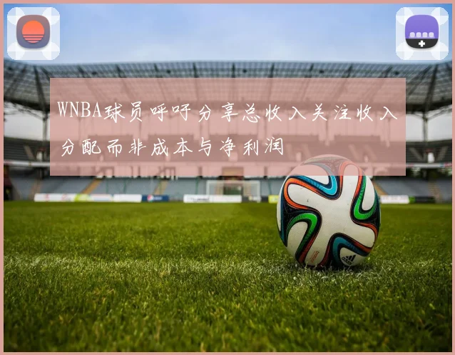 WNBA球员呼吁分享总收入关注收入分配而非成本与净利润