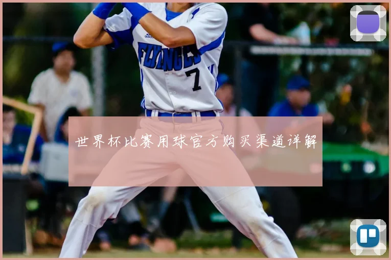 世界杯比赛用球官方购买渠道详解