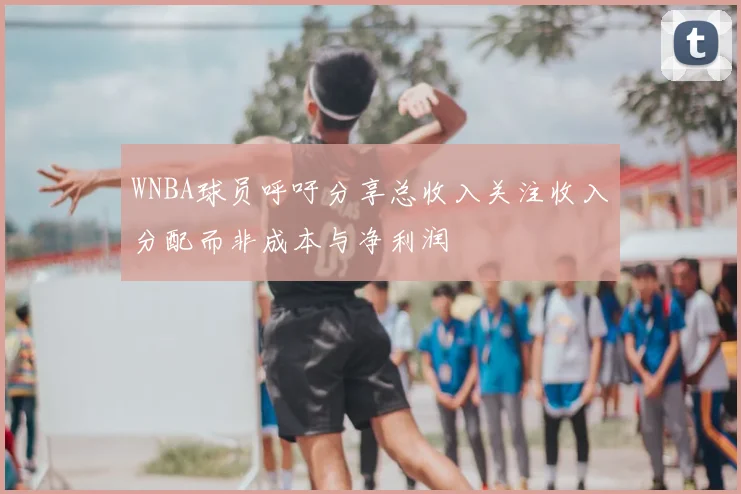 WNBA球员呼吁分享总收入关注收入分配而非成本与净利润