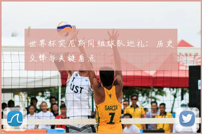 世界杯突尼斯同组球队巡礼：历史交锋与关键看点