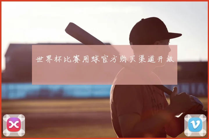 世界杯比赛用球官方购买渠道开放