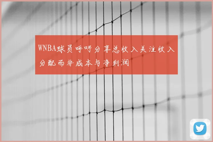 WNBA球员呼吁分享总收入关注收入分配而非成本与净利润