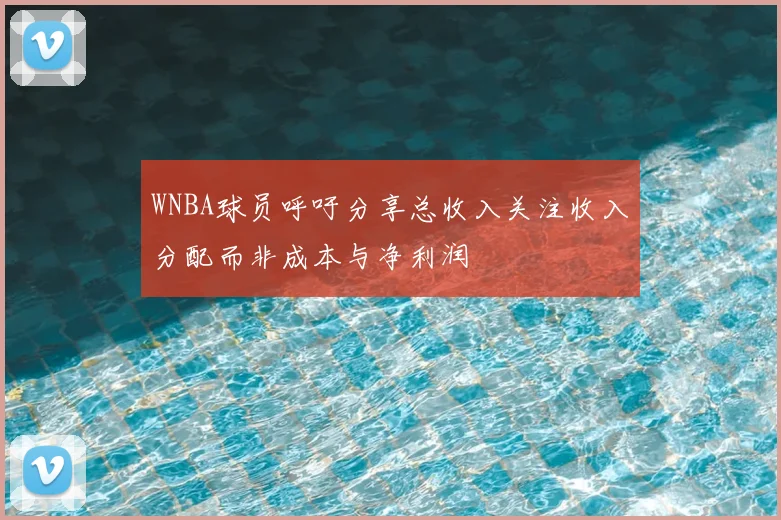WNBA球员呼吁分享总收入关注收入分配而非成本与净利润