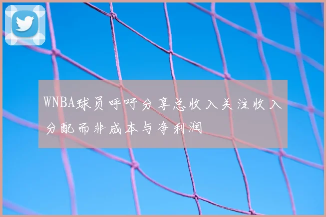 WNBA球员呼吁分享总收入关注收入分配而非成本与净利润