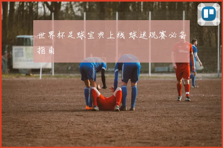 世界杯足球宝典上线 球迷观赛必备指南
