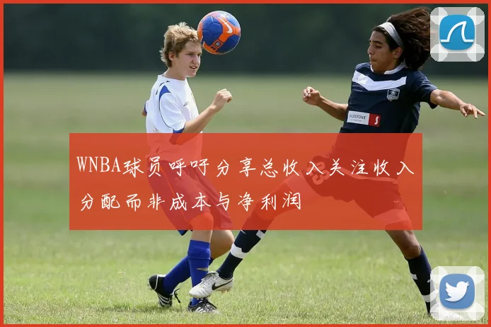 WNBA球员呼吁分享总收入关注收入分配而非成本与净利润