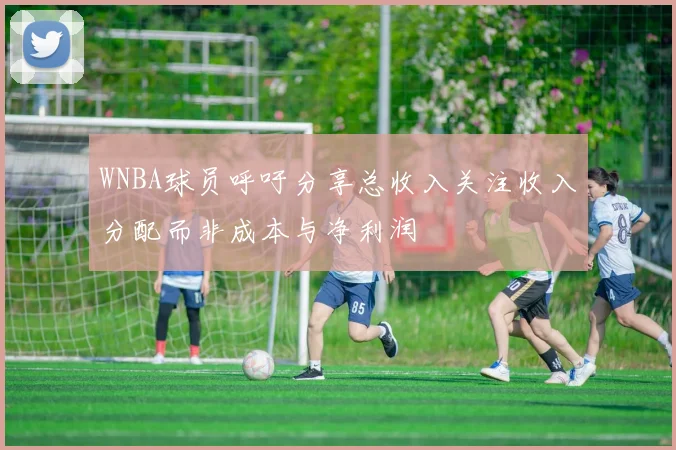 WNBA球员呼吁分享总收入关注收入分配而非成本与净利润