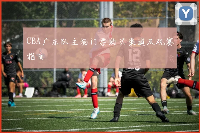 CBA广东队主场门票购买渠道及观赛指南