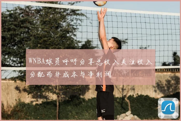 WNBA球员呼吁分享总收入关注收入分配而非成本与净利润
