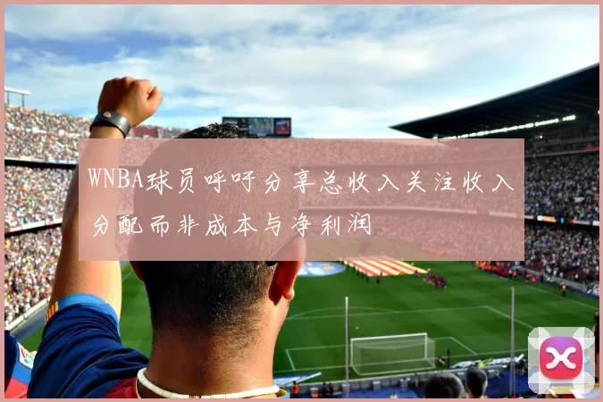 WNBA球员呼吁分享总收入关注收入分配而非成本与净利润