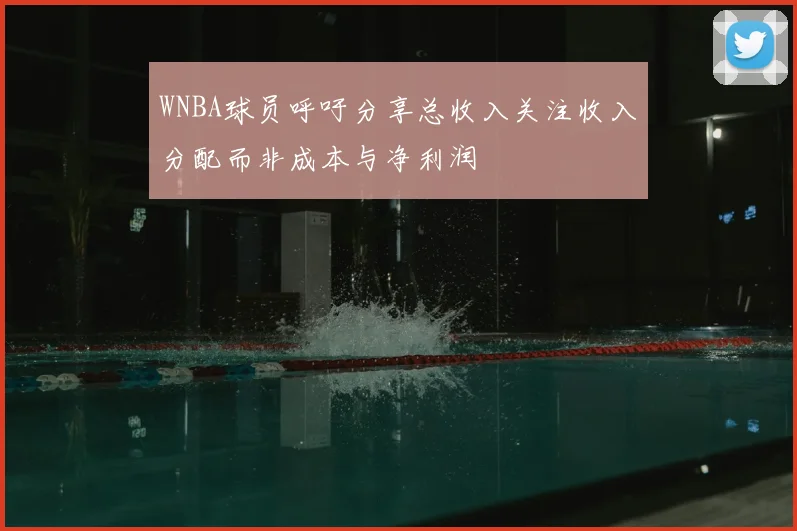 WNBA球员呼吁分享总收入关注收入分配而非成本与净利润