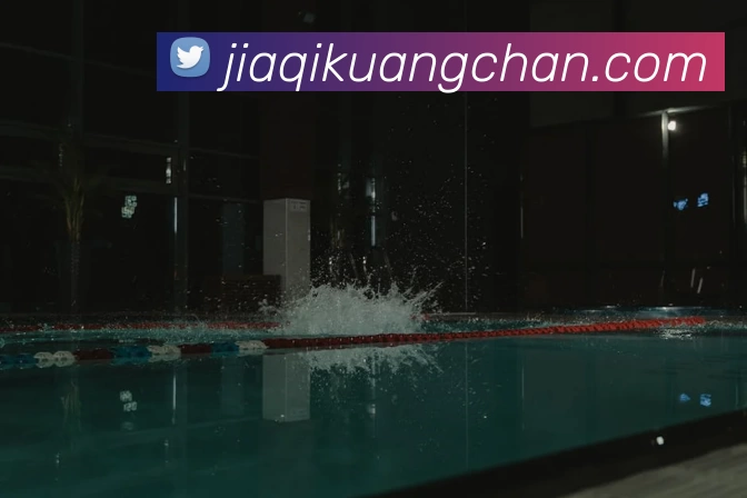 华体会体育平台生态图